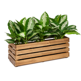  Planter Box - Large 
