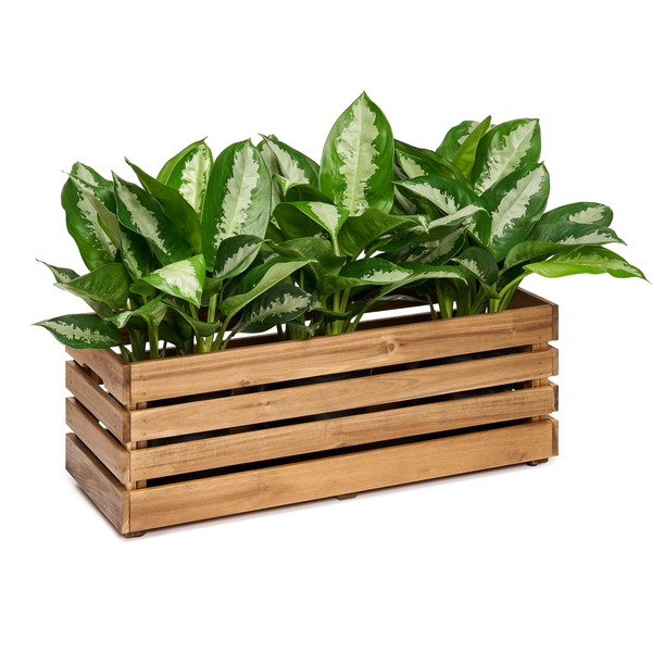  Planter Box - Large 