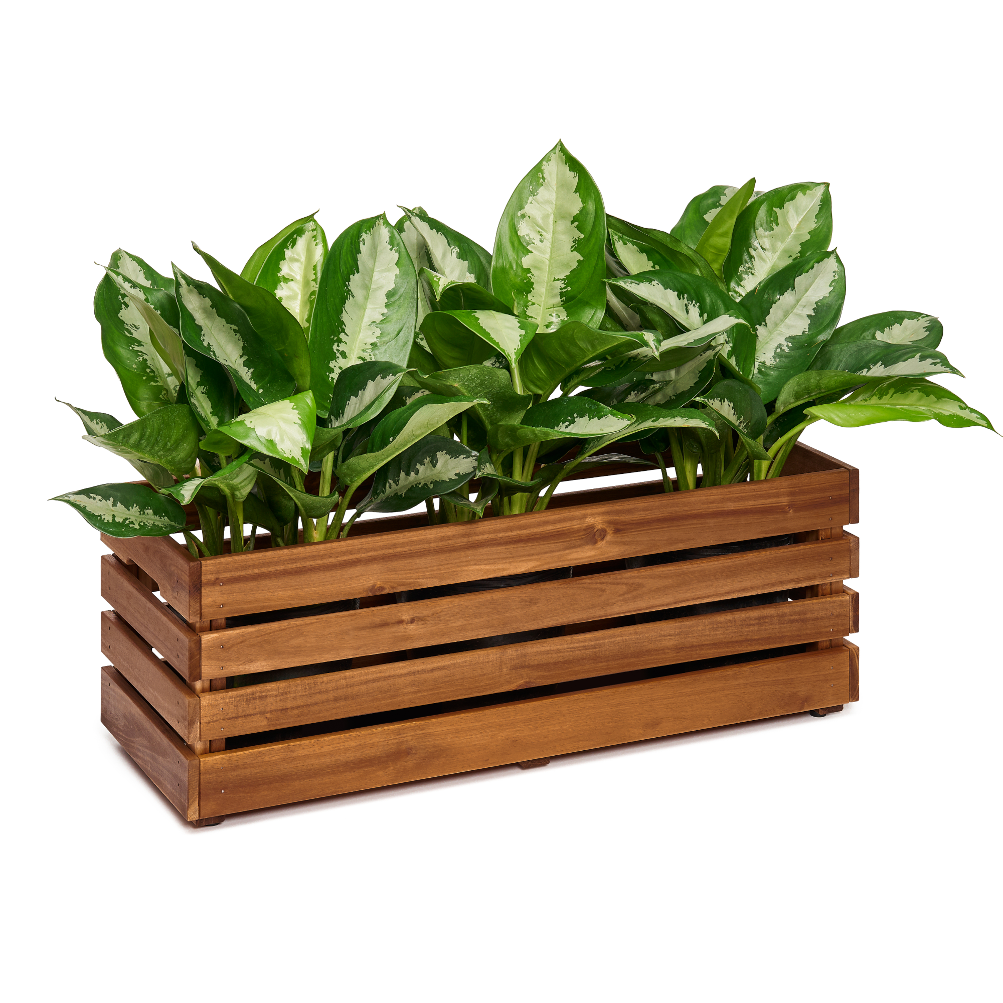  Planter Box - Large 