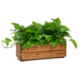  Planter Box - Small 