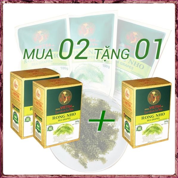 COMBO 03 Hộp Rong Nho Tách Nước – Mỗi hộp 300gr