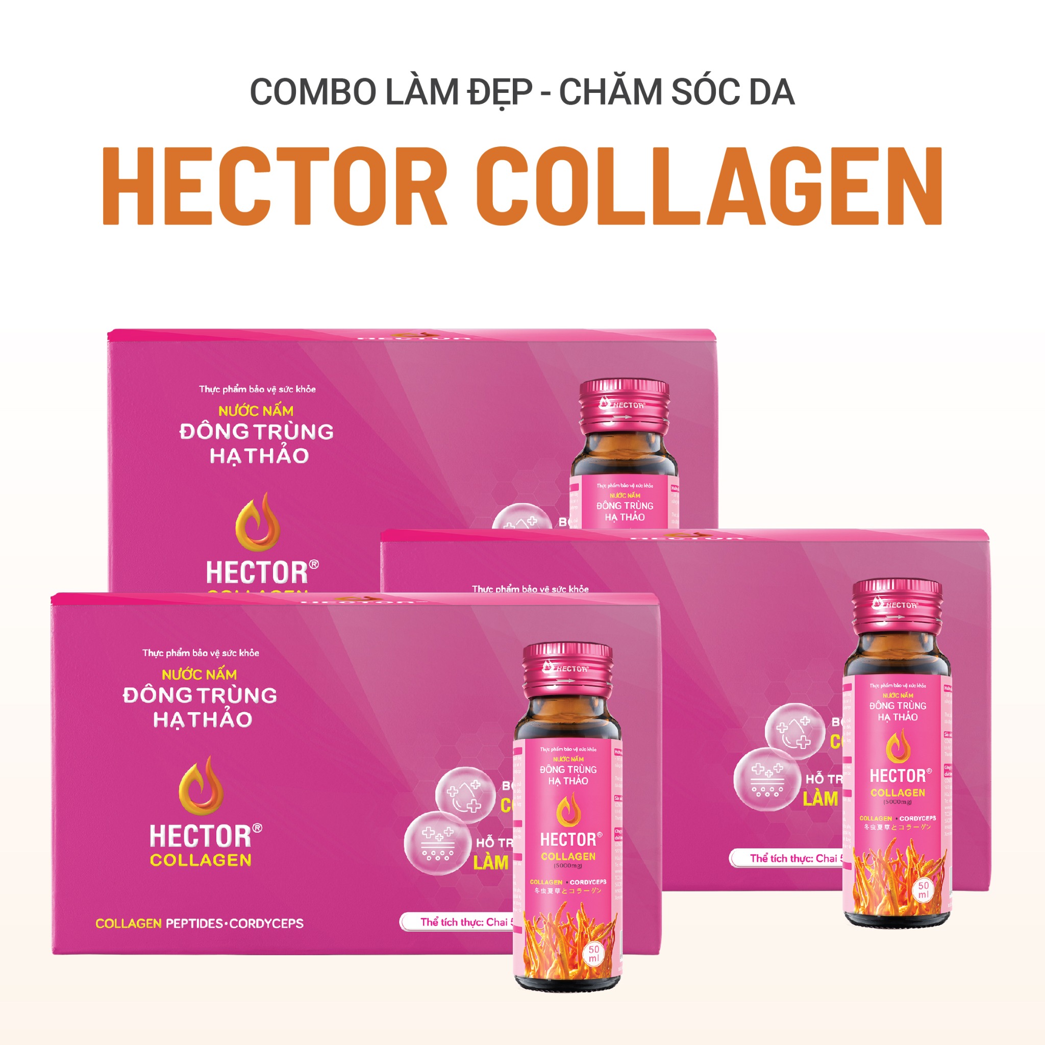 Bộ 3 hộp Thực phẩm bảo vệ sức khỏe Nước nấm đông trùng hạ thảo Hector Collagen