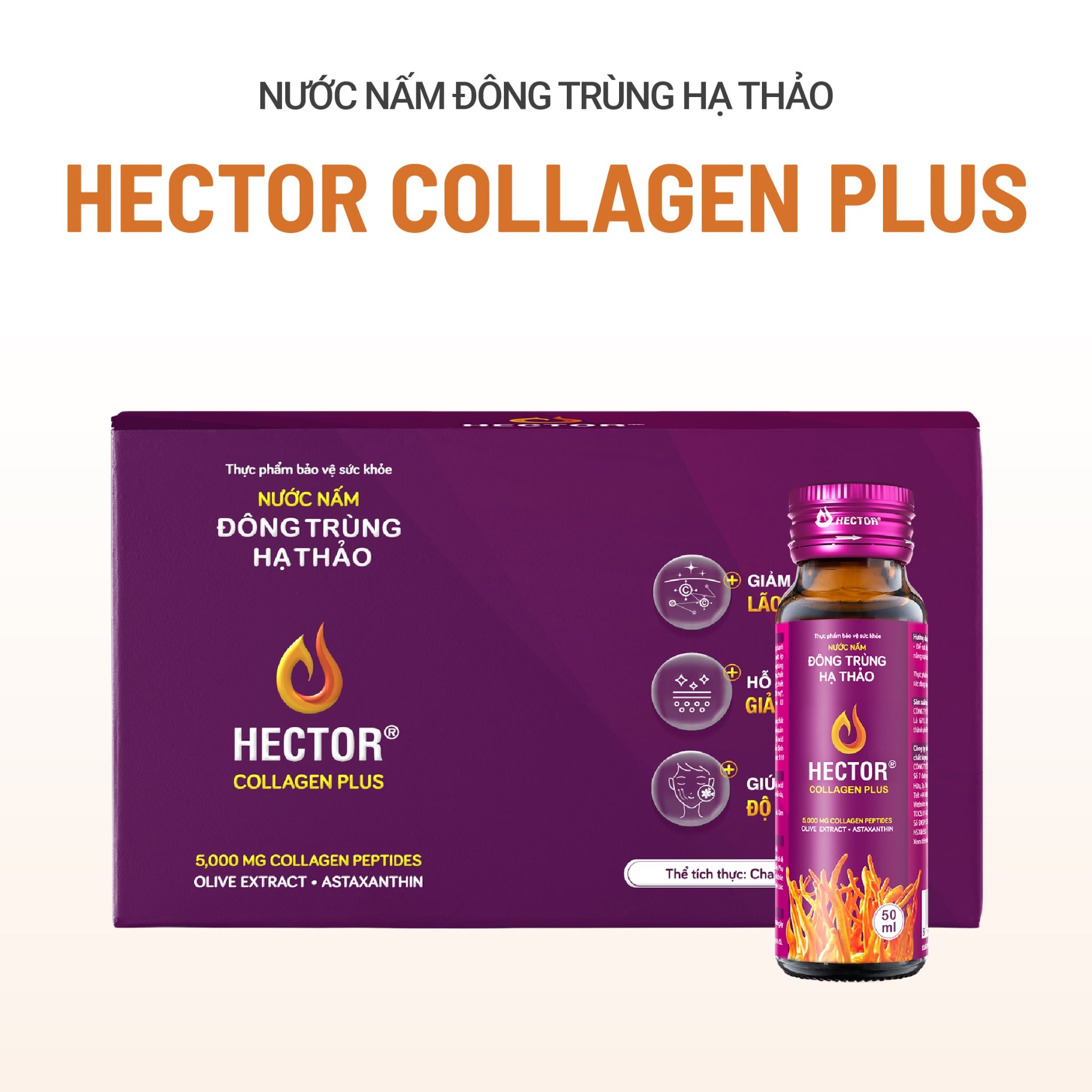 Thực phẩm bảo vệ sức khỏe Nước nấm đông trùng hạ thảo Hector Collagen Plus