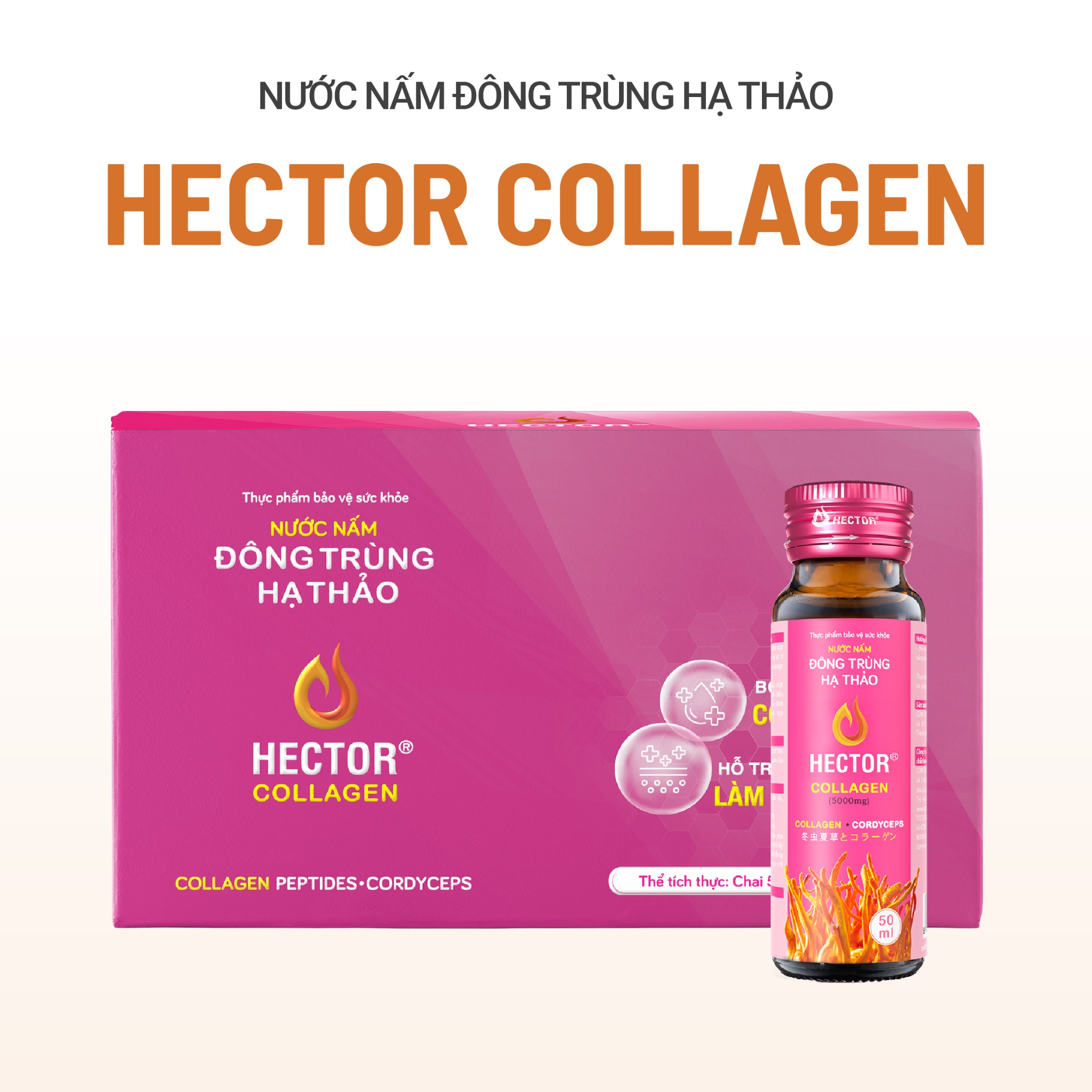 Thực phẩm bảo vệ sức khỏe Nước nấm đông trùng hạ thảo Hector Collagen