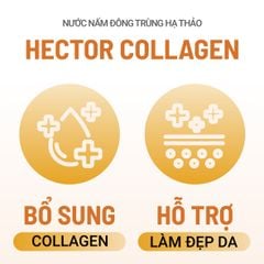 Thực phẩm bảo vệ sức khỏe Nước nấm đông trùng hạ thảo Hector Collagen