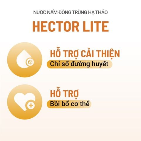 Thực phẩm bảo vệ sức khỏe Nước nấm đông trùng hạ thảo Hector Lite