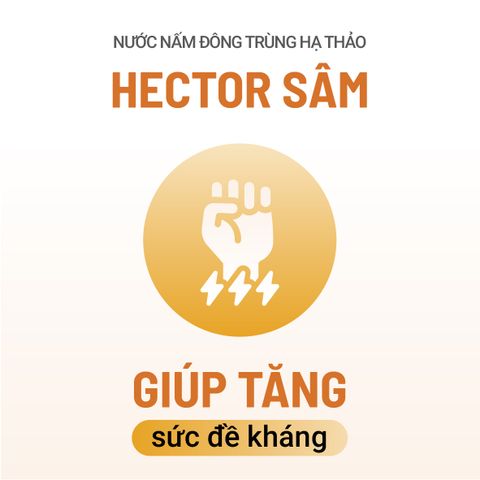 Bộ 2 Hộp Nước Nấm Đông Trùng Hạ Thảo HECTOR Sâm và HECTOR Collagen tăng đề kháng chống lão hóa