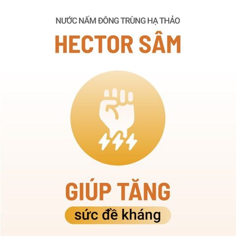 Bộ 3 hôp Thực phẩm bảo vệ sức khỏe Nước nấm đông trùng hạ thảo Hector Sâm