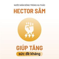 Bộ 3 hôp Thực phẩm bảo vệ sức khỏe Nước nấm đông trùng hạ thảo Hector Sâm