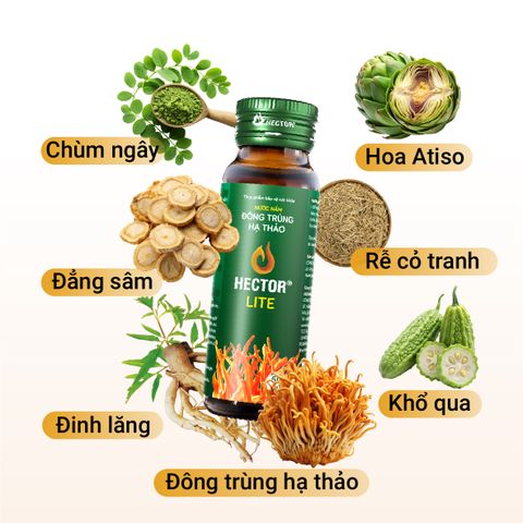 Thực phẩm bảo vệ sức khỏe Nước nấm đông trùng hạ thảo Hector Lite
