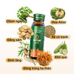 Thực phẩm bảo vệ sức khỏe Nước nấm đông trùng hạ thảo Hector Lite
