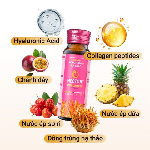 Bộ 2 Hộp Nước Nấm Đông Trùng Hạ Thảo HECTOR Sâm và HECTOR Collagen tăng đề kháng chống lão hóa