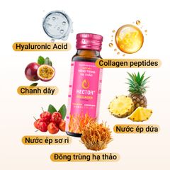 Thực phẩm bảo vệ sức khỏe Nước nấm đông trùng hạ thảo Hector Collagen