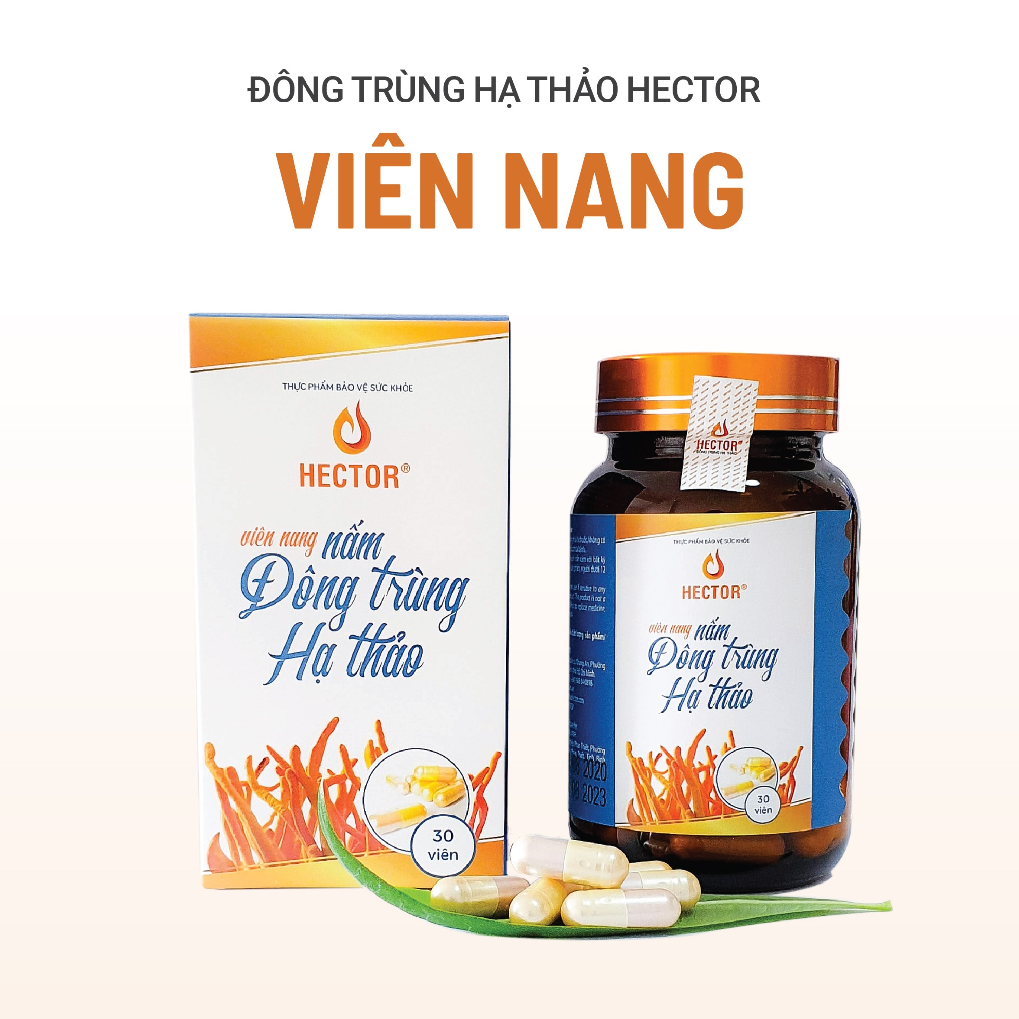 Thực phẩm bảo vệ sức khỏe Viên nang nấm đông trùng hạ thảo Hector
