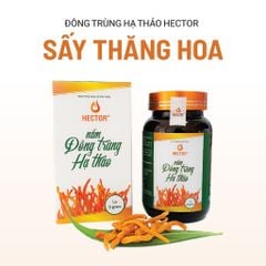 Thực phẩm bảo vệ sức khỏe Nấm Đông trùng hạ thảo Hector sấy thăng hoa