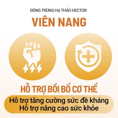 Thực phẩm bảo vệ sức khỏe Viên nang nấm đông trùng hạ thảo Hector
