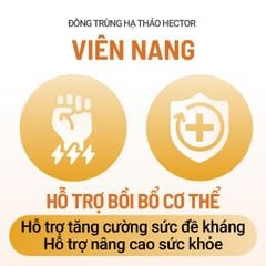 Thực phẩm bảo vệ sức khỏe Viên nang nấm đông trùng hạ thảo Hector