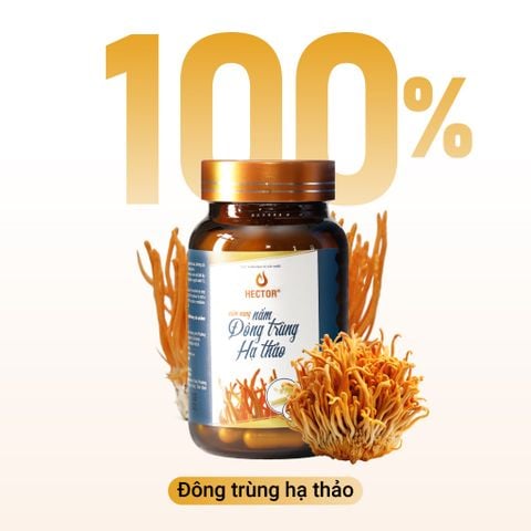 Thực phẩm bảo vệ sức khỏe Viên nang nấm đông trùng hạ thảo Hector
