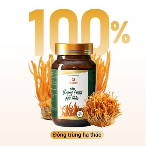 Thực phẩm bảo vệ sức khỏe Nấm Đông trùng hạ thảo Hector sấy thăng hoa
