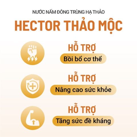Thực phẩm bảo vệ sức khỏe Nước uống Hector Thảo mộc