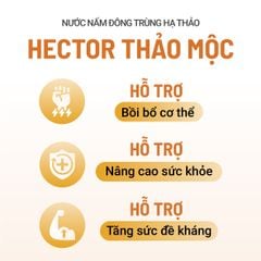 Thực phẩm bảo vệ sức khỏe Nước uống Hector Thảo mộc