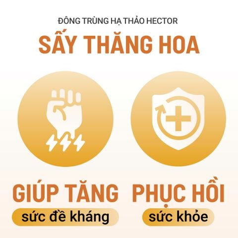 Thực phẩm bảo vệ sức khỏe Nấm Đông trùng hạ thảo Hector sấy thăng hoa