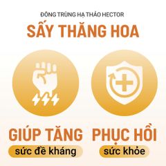 Thực phẩm bảo vệ sức khỏe Nấm Đông trùng hạ thảo Hector sấy thăng hoa