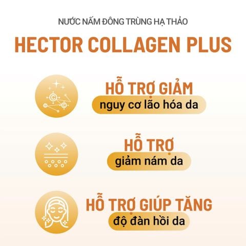 Thực phẩm bảo vệ sức khỏe Nước nấm đông trùng hạ thảo Hector Collagen Plus
