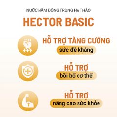 Thực phẩm bảo vệ sức khỏe Nước nấm đông trùng hạ thảo Hector Basic
