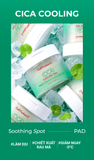  Toner Pad Rau Má Làm Lạnh Hạ Nhiệt -5 Độ Giảm Mụn & Làm Dịu Da Ửng Đỏ Cháy Nắng Cell Fusion C Cica Cooling Pad 