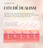  Son Tint Bóng Dưỡng Môi Thuần Chay Bền Màu Pinate Glowing Bloom Lip Stain Tint 2.9G 