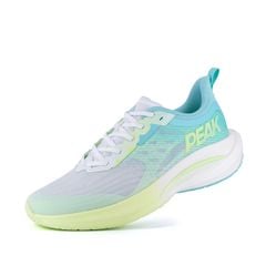 Giày Chạy Bộ Nam PEAK TAICHI-WINDSTORM PRO ET41317H