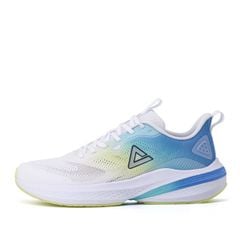 Giày Chạy Bộ Nam PEAK Taichi Ultralight ET42067H