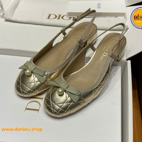 Giày công sở nữ Dior hot