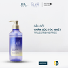 Dầu gội và dầu xả chăm sóc tóc nhiệt TRUEST BY S FREE Acid&Heat Care