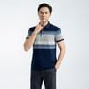 ÁO THUN POLO VITIMEX SLIMFIT ATS 3017