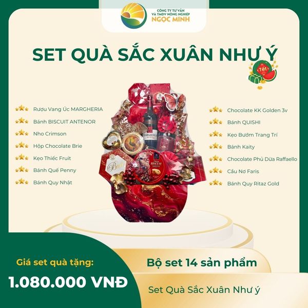  sét quà  sắc xuân như ý 