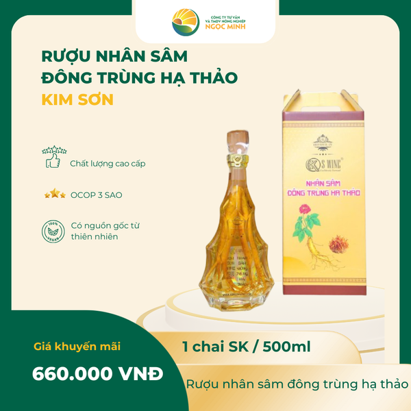  Rượu Nhân Sâm Đông Trùng Hạ Thảo SK 500ml 