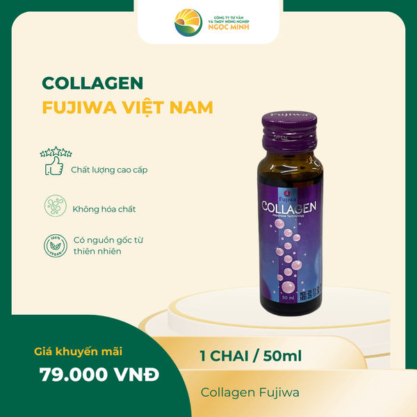  Collagen Fujiwa 50ml 
