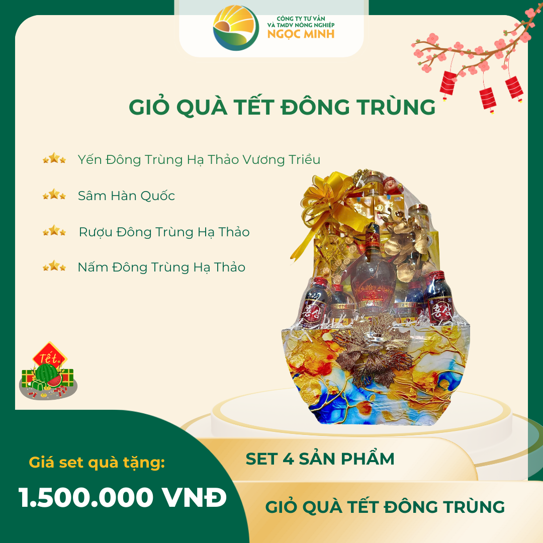  giỏ quà tết đông trùng 