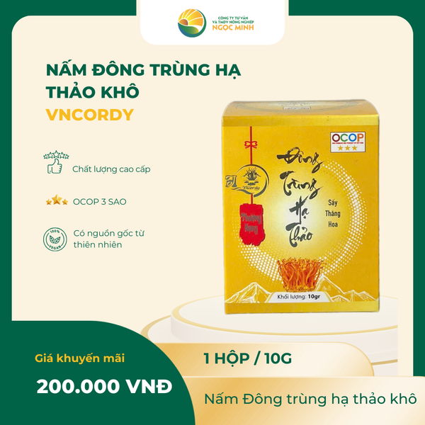 Nấm Đông trùng hạ thảo khô 10g 