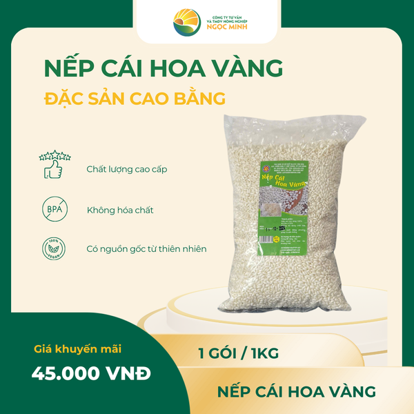  Nếp cái hoa vàng Tâm Hoà 500g 
