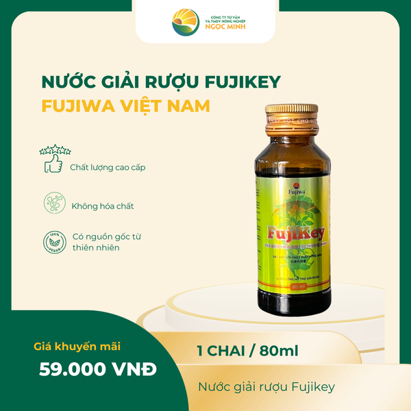  Nước giải rượu Fujikey 80ml 