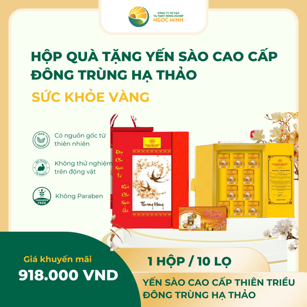  Hộp quà tặng Yến sào cao cấp Đông trùng ( hộp 10 lọ) 22% 