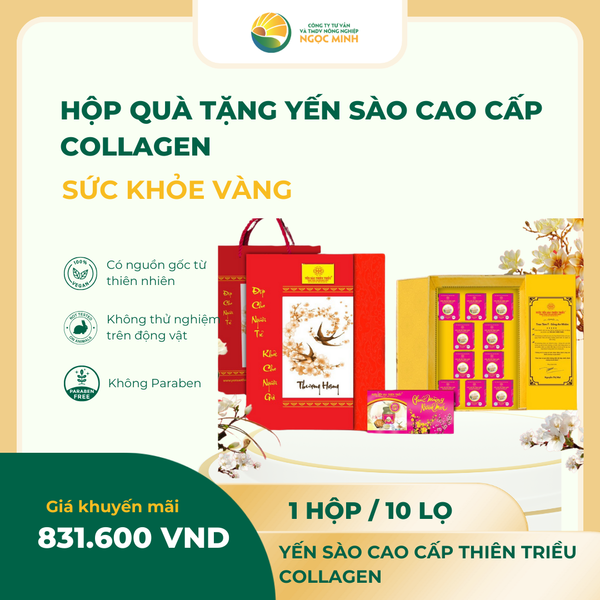  Hộp quà tặng Yến sào cao cấp Collagen ( hộp 10 lọ) 22% 
