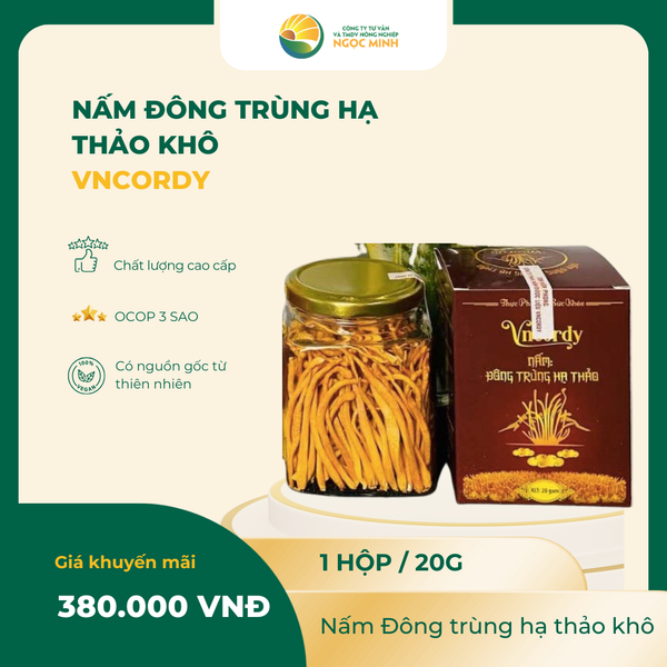  Nấm Đông trùng hạ thảo khô 20g 