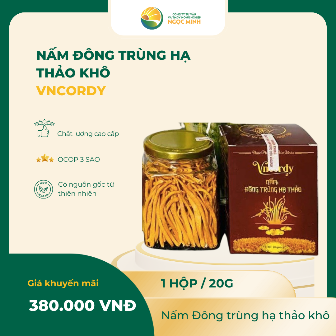  Nấm Đông trùng hạ thảo khô 20g 