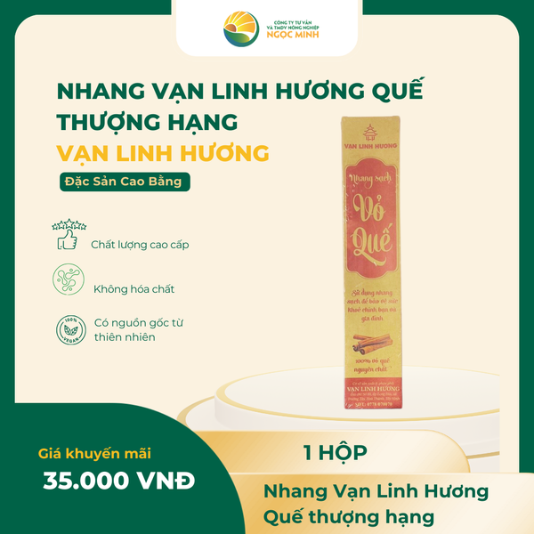  Nhang Vạn Linh Hương Quế thượng hạng 