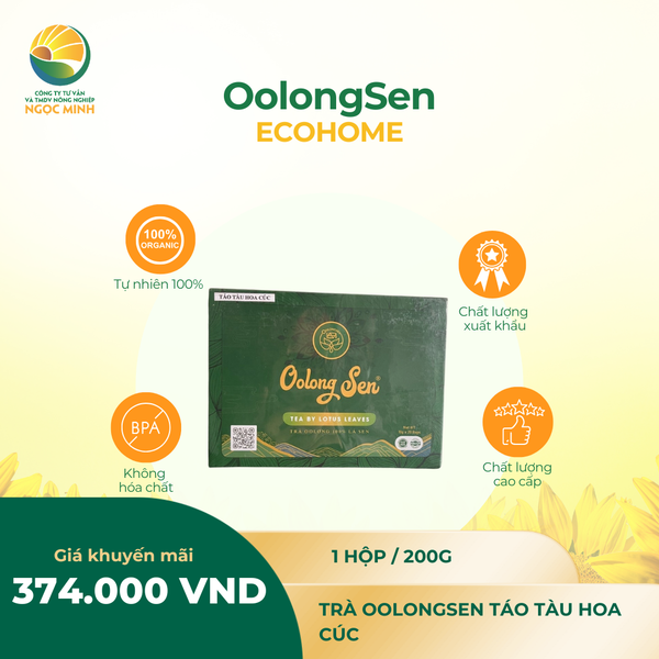  Trà OolongSen - Táo tàu Hoa cúc (hộp 200g) 