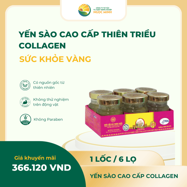  Yến sào cao cấp Thiên Triều Collagen 22% (lốc 6 lọ) 